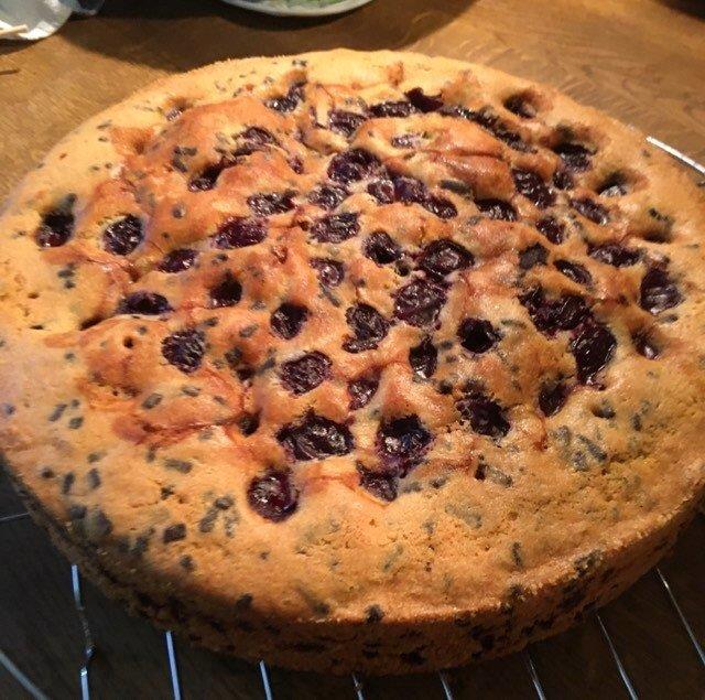 Kuchen 