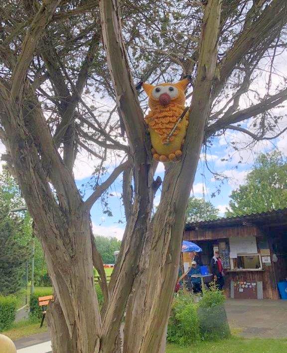 Eule im Baum