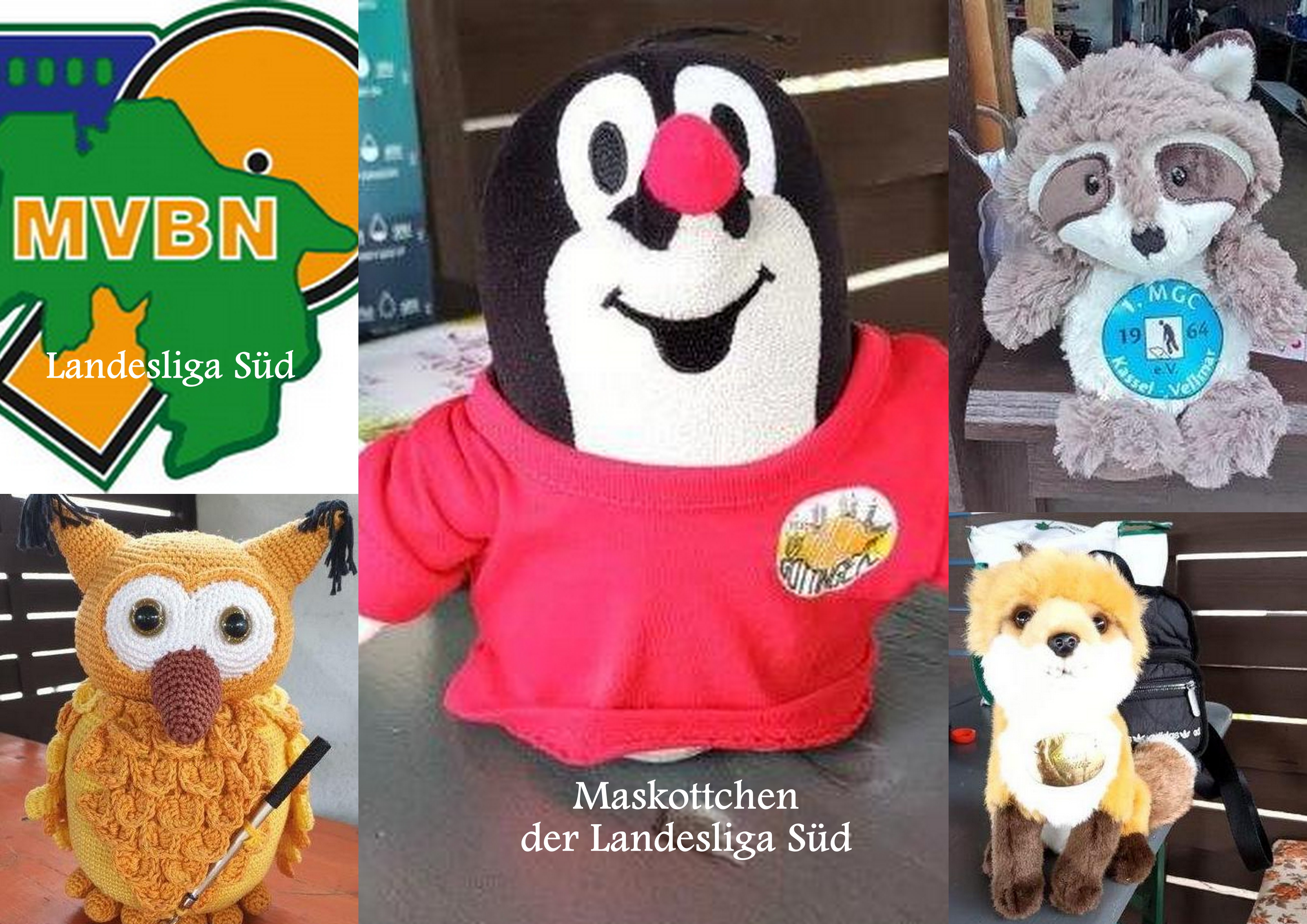 MVBN Maskottchen Landesliga jpg