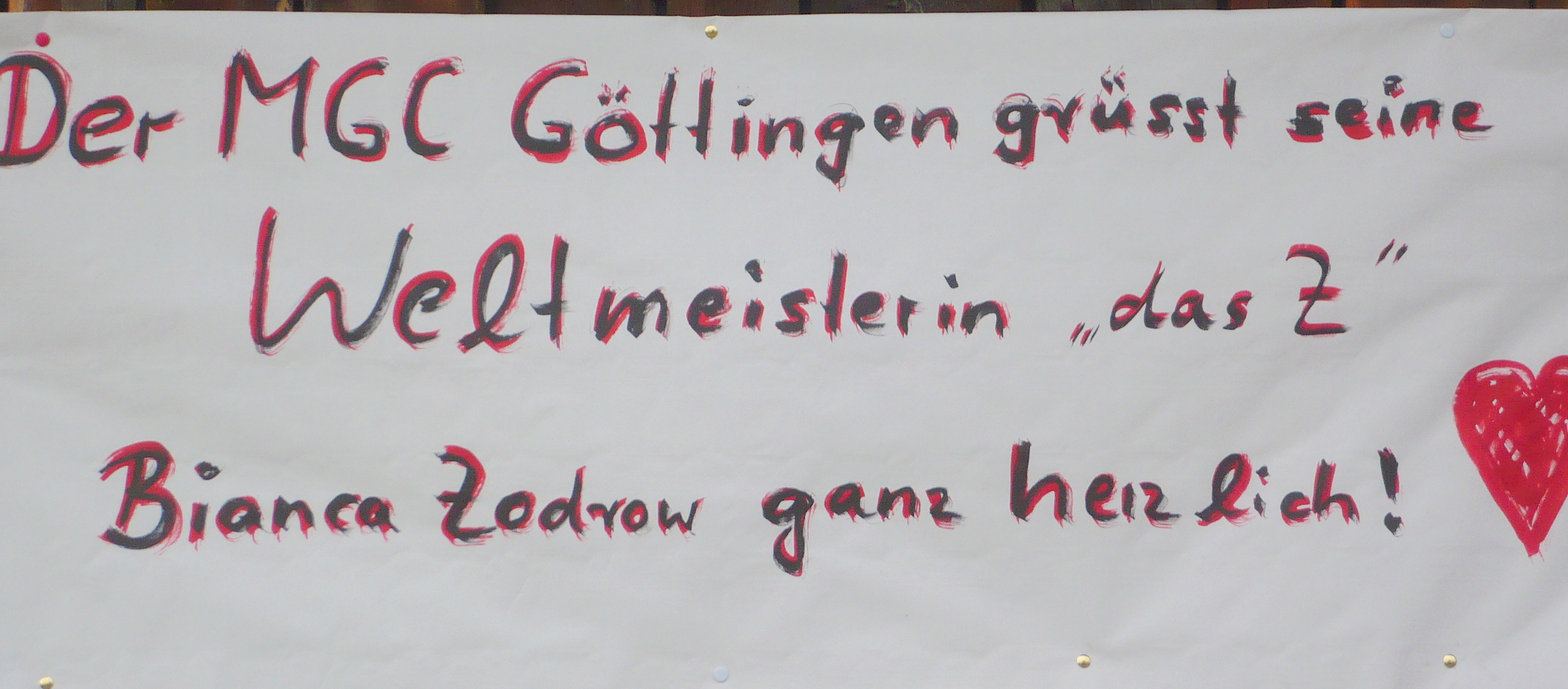 Plakate Bibi 2011
