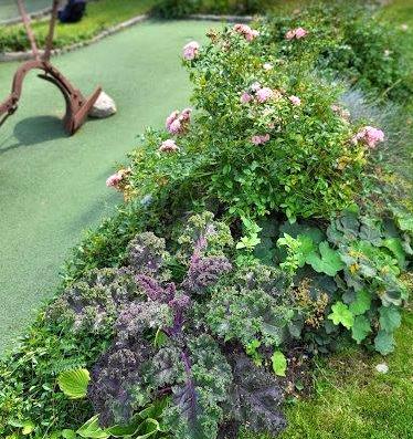 Screenshot 2024 09 03 at 12 56 44 adventure golf siethen kartoffelpflug   Google Suche